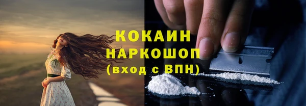 стафф Медногорск