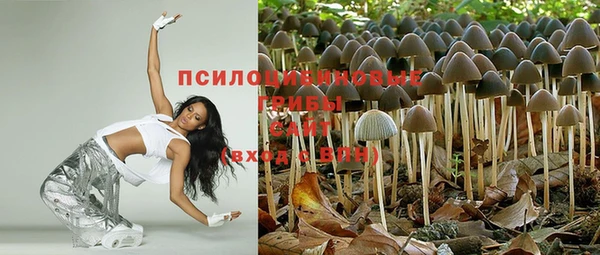 стафф Медногорск