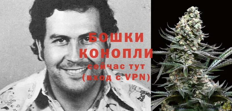 Канабис SATIVA & INDICA  МЕГА ТОР  Берёзовский 